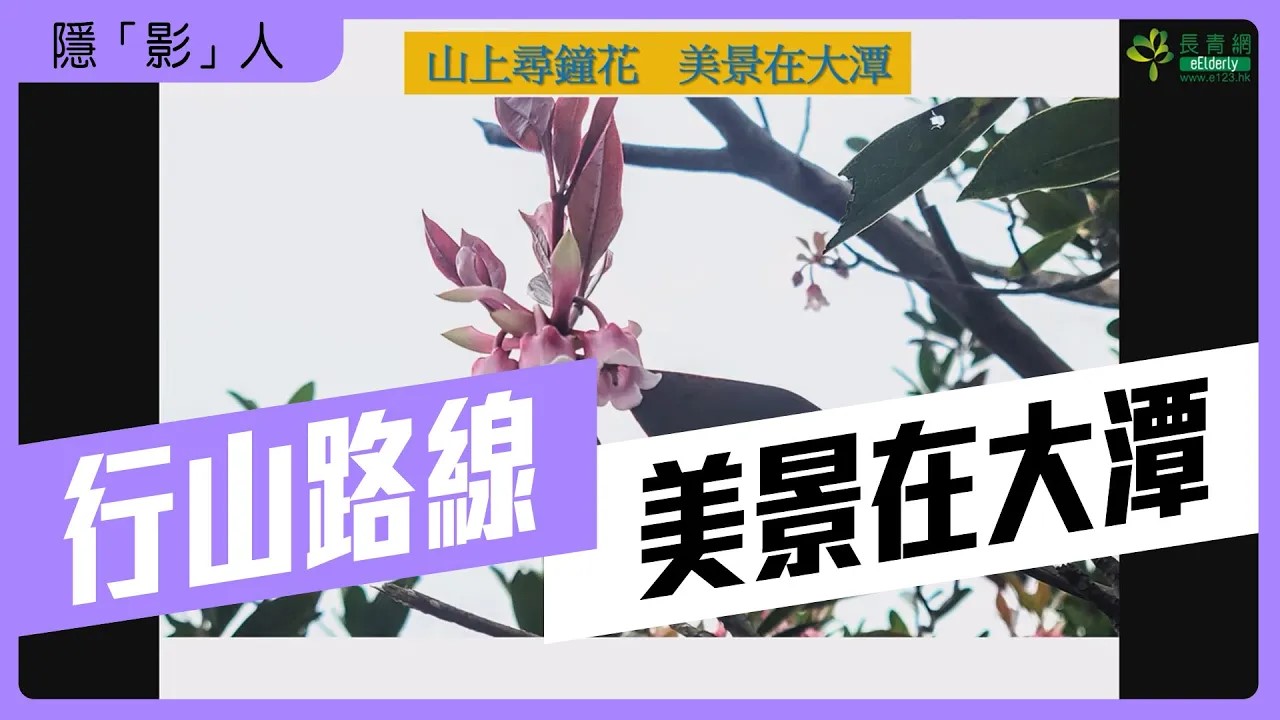 隱影人—行山路線|美景在大潭