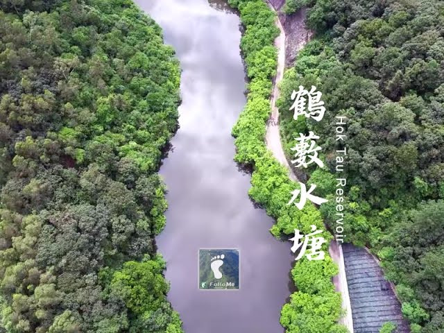 屏石抱湖 － 鶴藪水塘