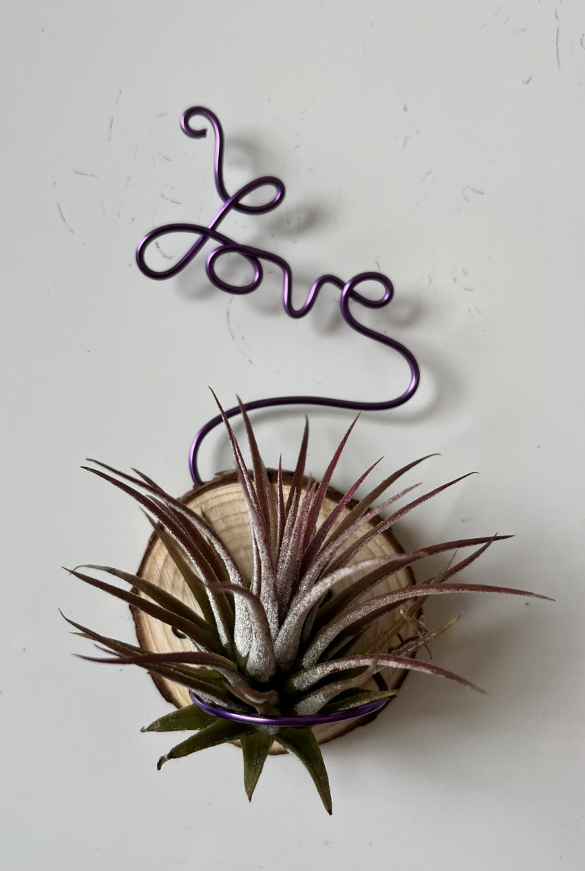 愛意鋁缐空氣草架(磁貼款)