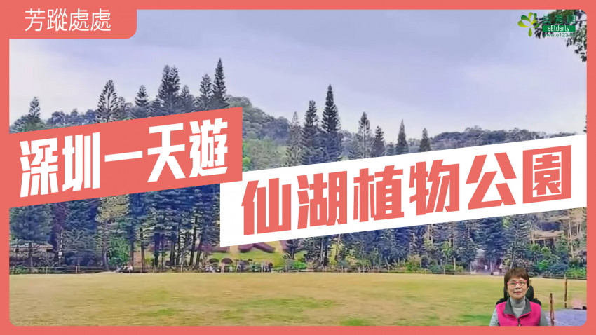 芳蹤處處—仙湖植物公園｜深圳一天遊
