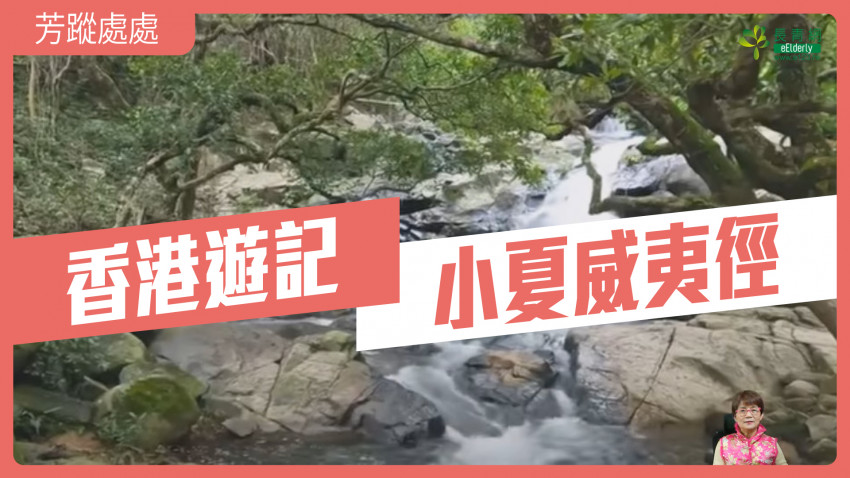 芳蹤處處—小夏威夷徑｜香港遊