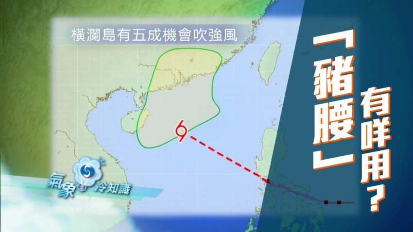 「豬腰」有咩用？