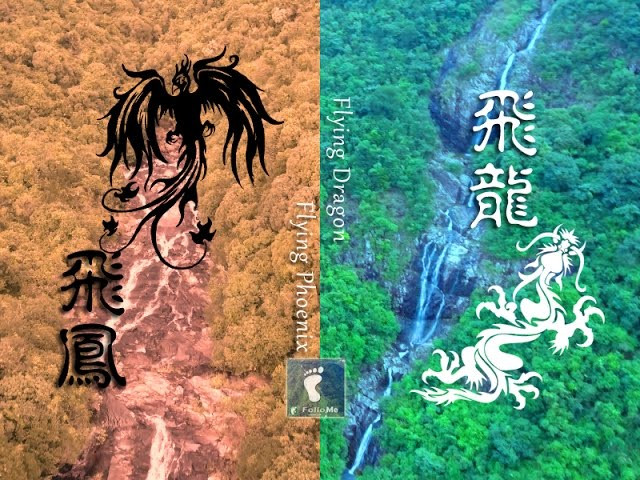 龍鳳起舞 － 飛龍飛鳳石澗