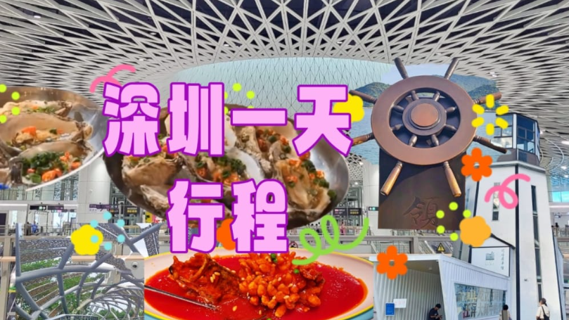 深圳一天行程🚊🛍️🌈💐