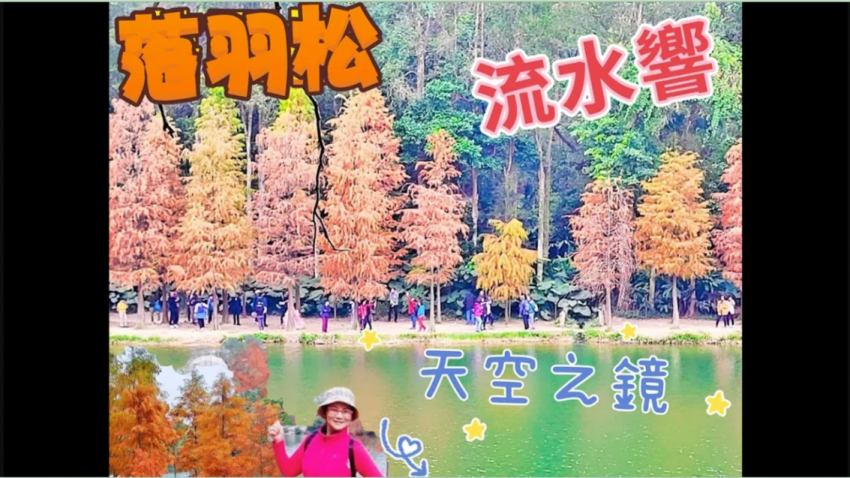 香港天空之鏡 -- 流水響  落羽松豐盛  色彩艷麗  美景如畫