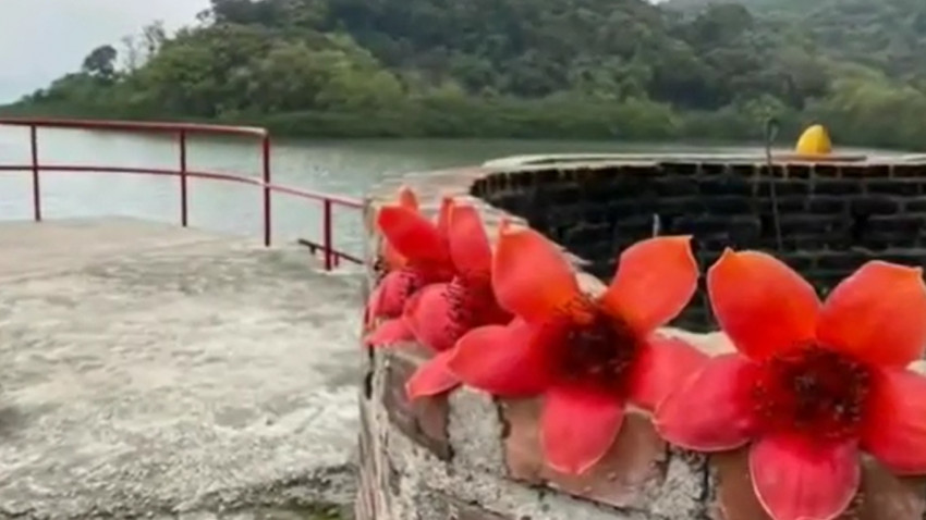 行山分享 南涌＞橫七古道＞大尾督