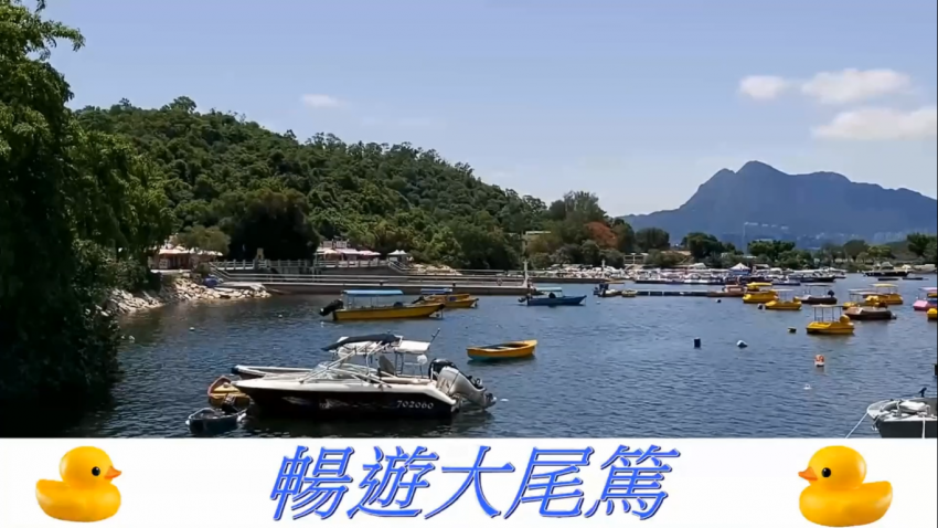 閒遊大尾篤☘️🌺