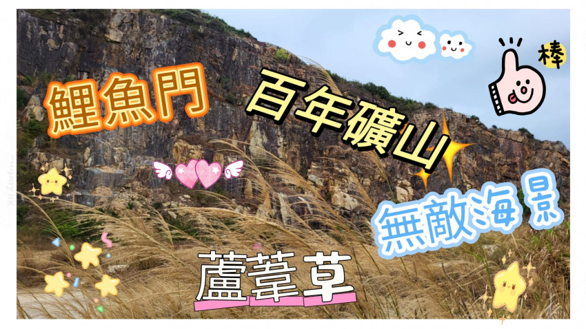 鯉魚門  II 賞蘆葦草 II  看過百年石礦山  II 特色廢屋 II  無敵海景 II 燈塔